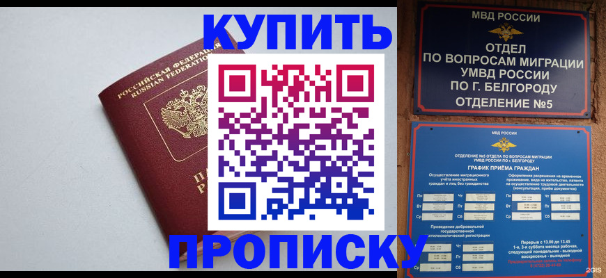 прописка регистрация в Киришах